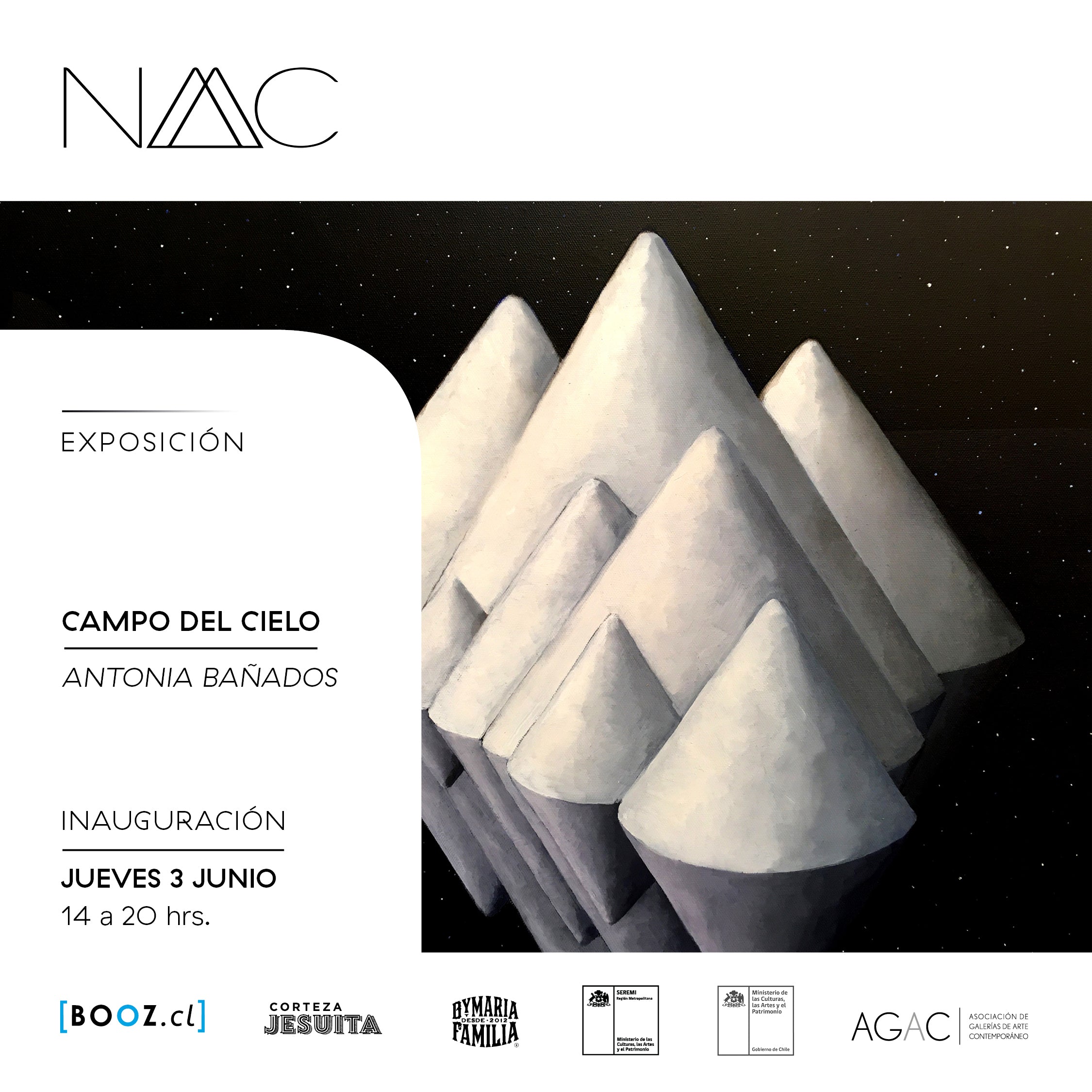 Campo de cielo