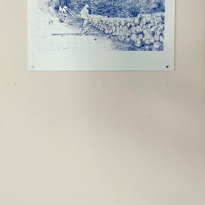 Reforestación