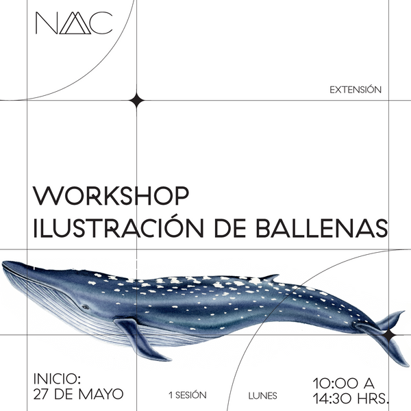 Workshop ilustración de ballena en acuarela