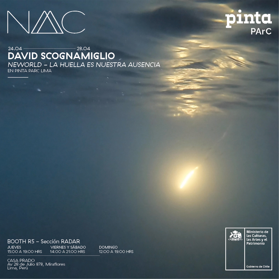David Scognamiglio en Pinta PArC- Solo Project
