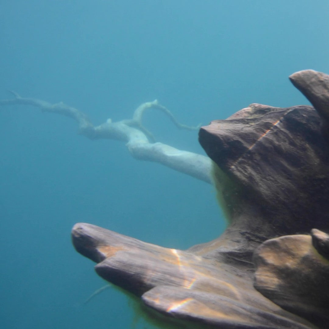 Triángulo de agua
