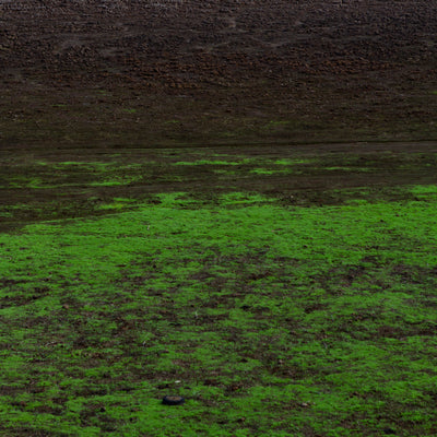 Estrías de Tierra / Laguna de Aculeo
