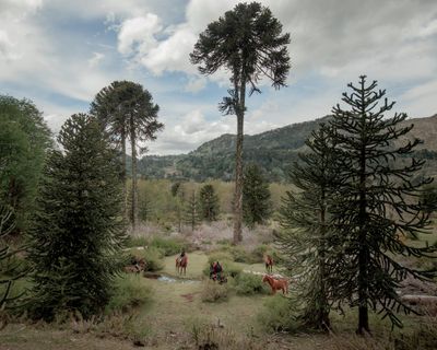 Paisaje Region Jinetes de Icalma