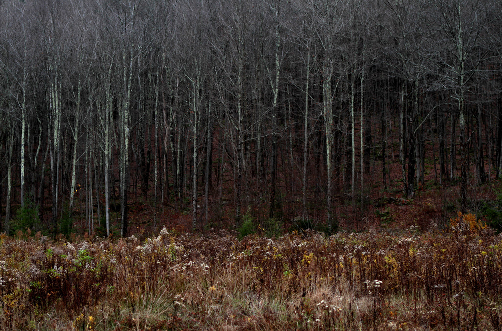 Montaña Invierno / Hunter