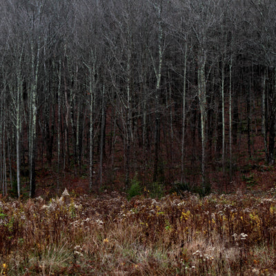 Montaña Invierno / Hunter