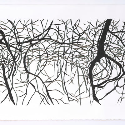 Manglar