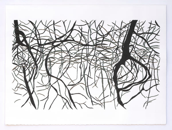 Manglar