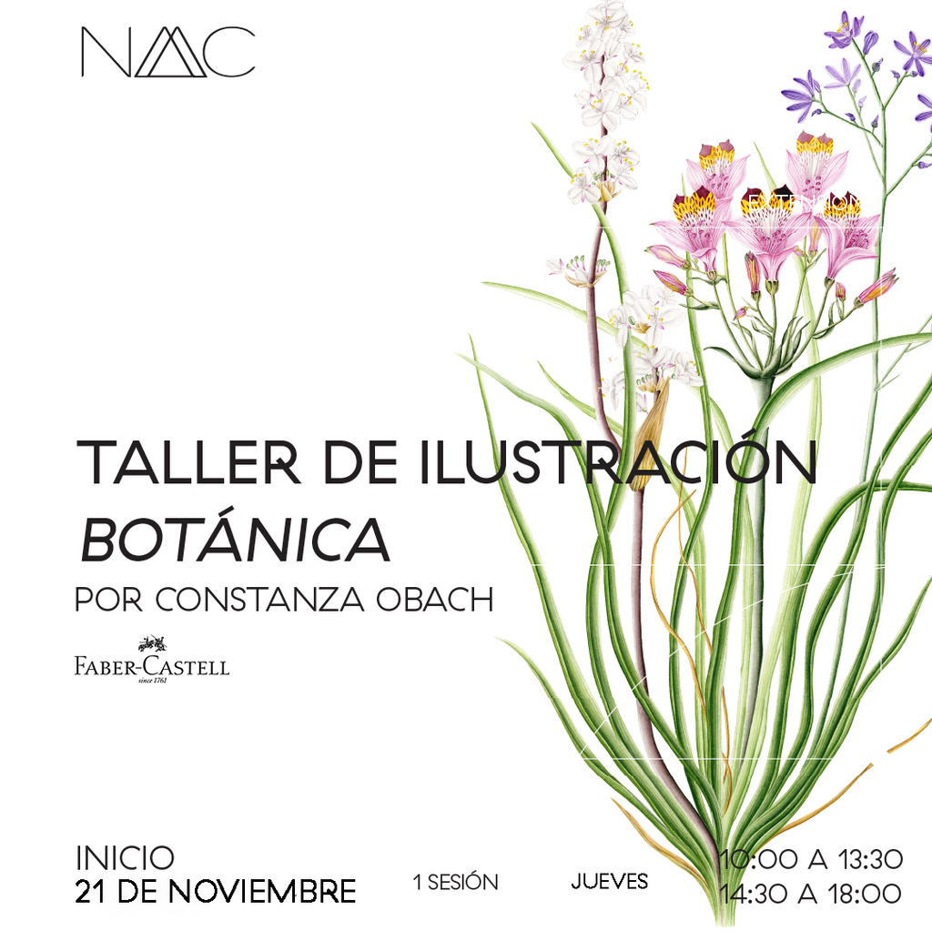 Taller de ilustración botánica II