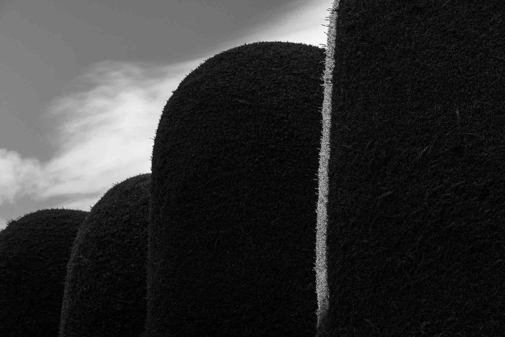 CEMENTERIO DE PUNTA ARENAS II