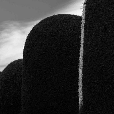 CEMENTERIO DE PUNTA ARENAS II