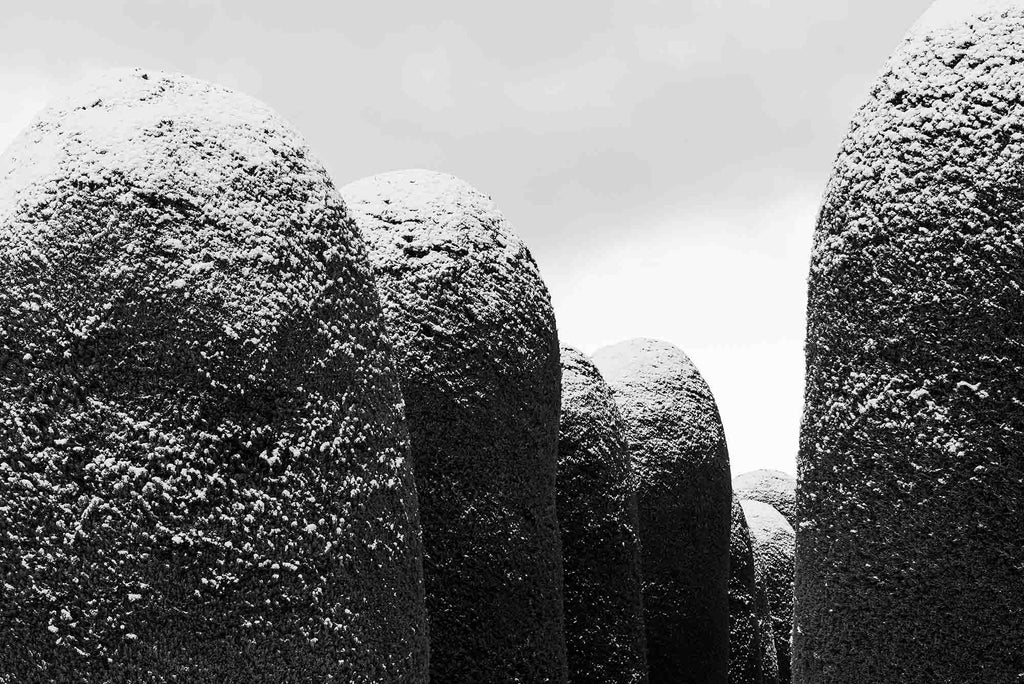 CEMENTERIO DE PUNTA ARENAS III