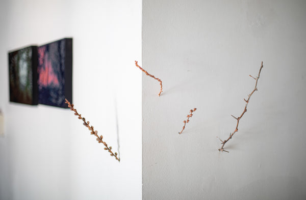 Brotes en cobre
