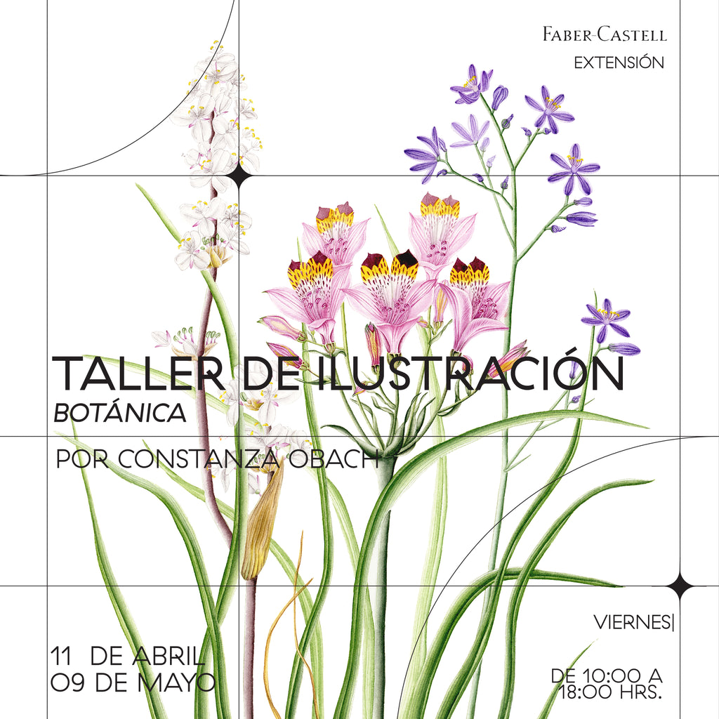 Taller de ilustración botánica