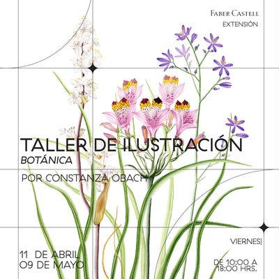 Taller de ilustración botánica