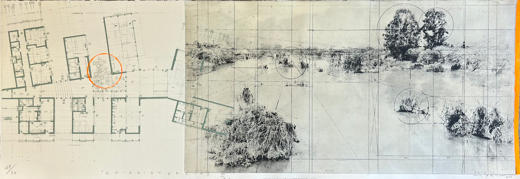 Co - existencias III