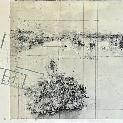 Co - existencias III