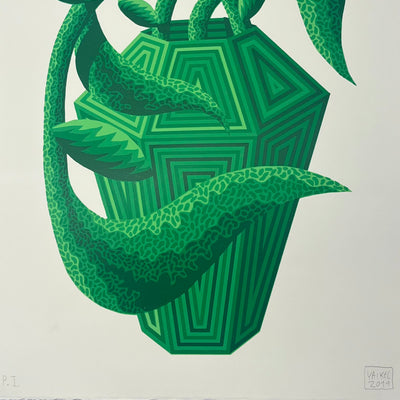 PRIMAVERA VERDE