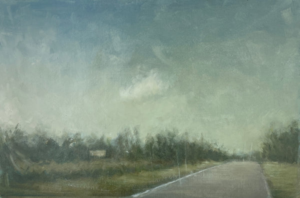 Camino a casa