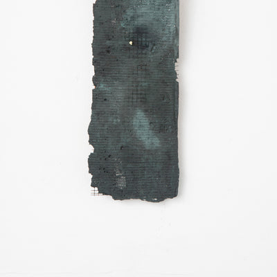Piel II: Musgo