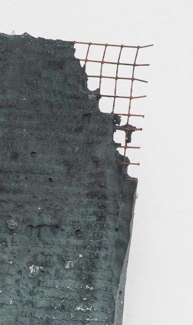 Piel II: Musgo
