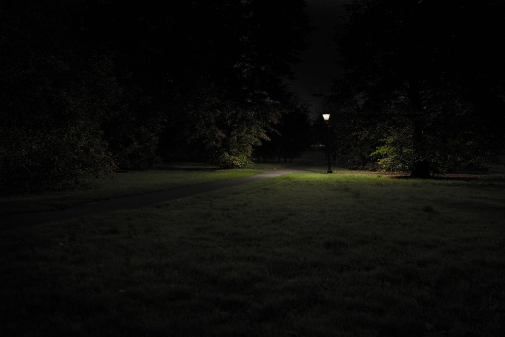 Untitled (Hyde Park I, Westminster)