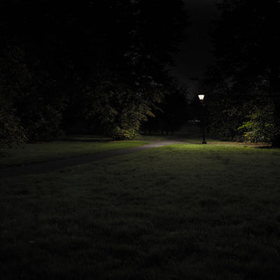 Untitled (Hyde Park I, Westminster)