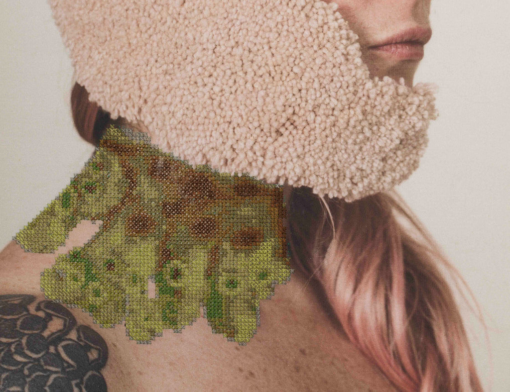 Marcarthia polymorpha