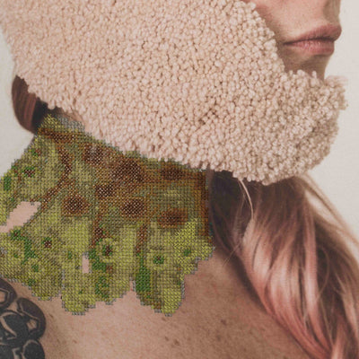 Marcarthia polymorpha