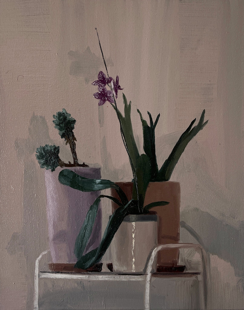 Las plantas del escritorio, de noche