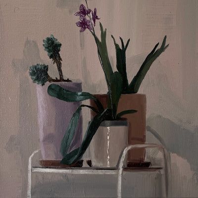 Las plantas del escritorio, de noche
