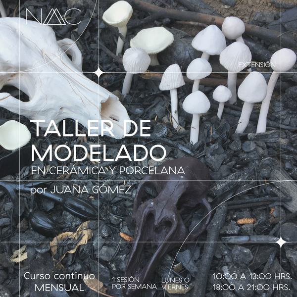 Taller de modelado cerámica y porcelana