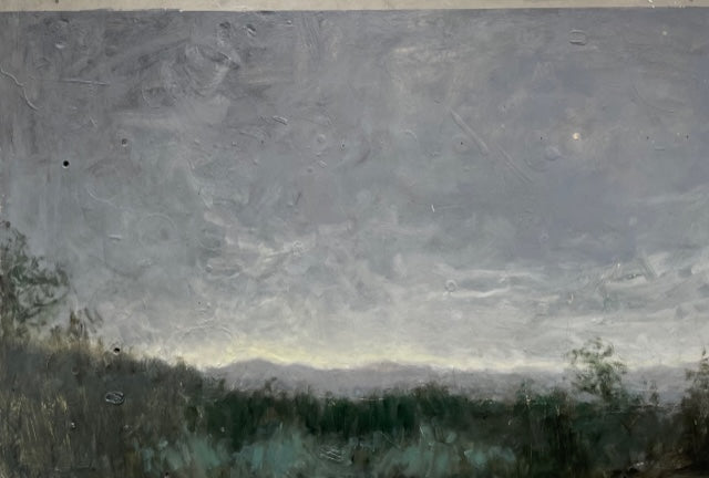 Cordillera de la costa