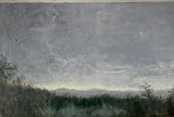 Cordillera de la costa