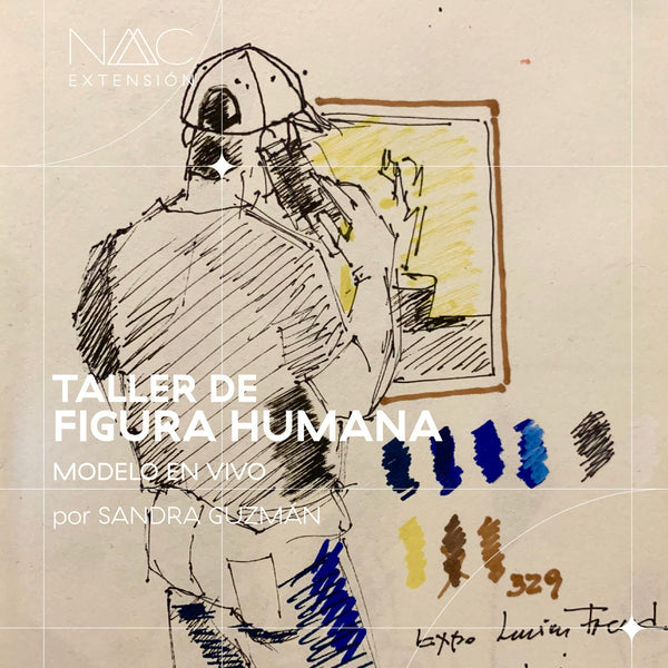 Taller de figura humana, modelo en vivo