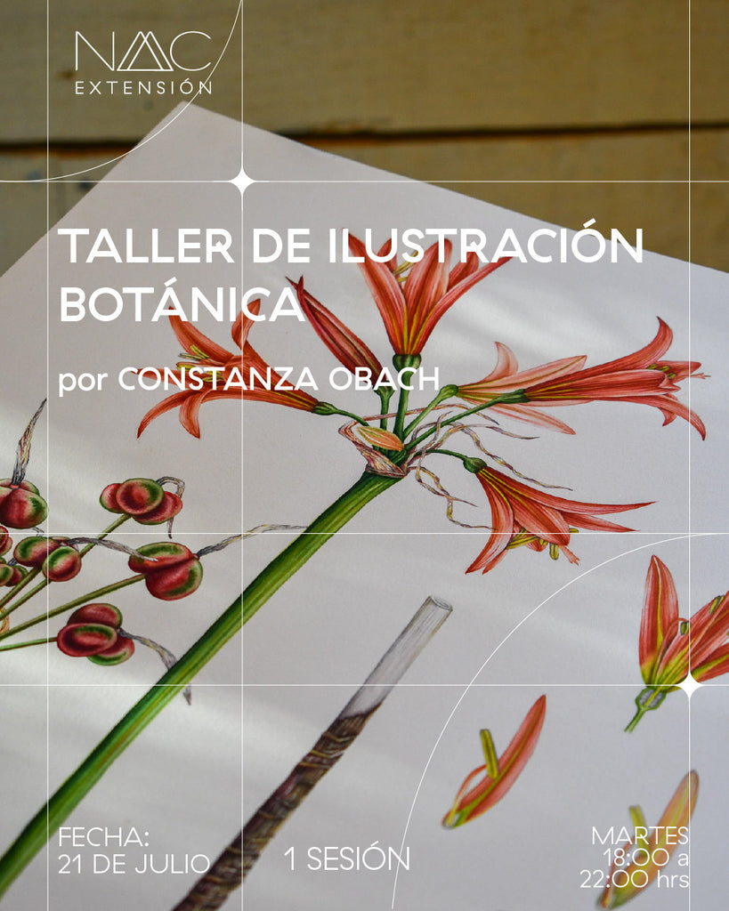 Taller de ilustración botánica