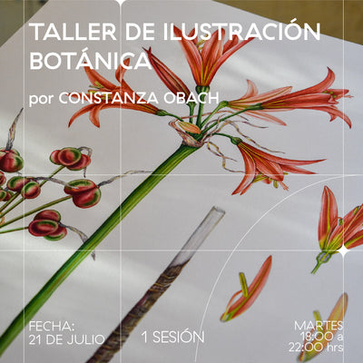 Taller de ilustración botánica
