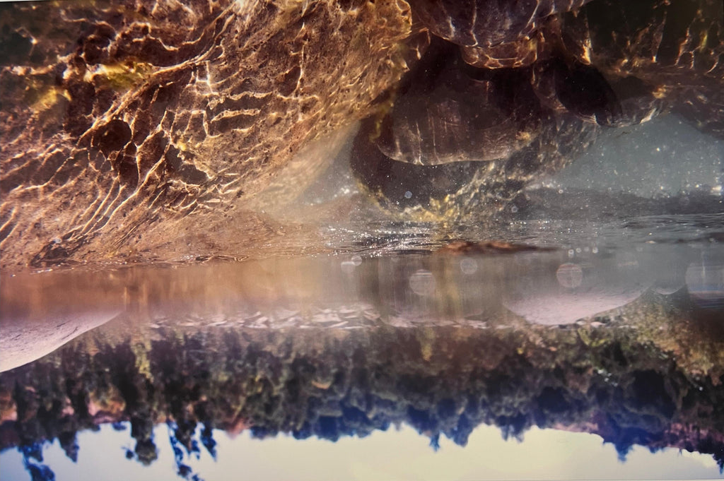 Nadie puede empujar el río