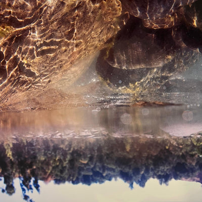 Nadie puede empujar el río