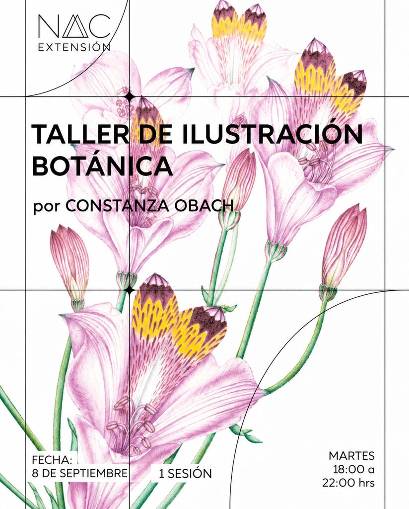 Taller de ilustración botánica