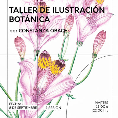 Taller de ilustración botánica