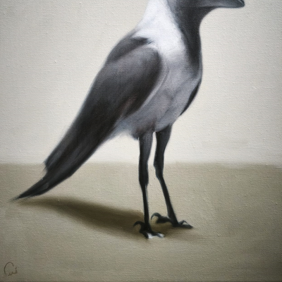 Metamorfos I - 4