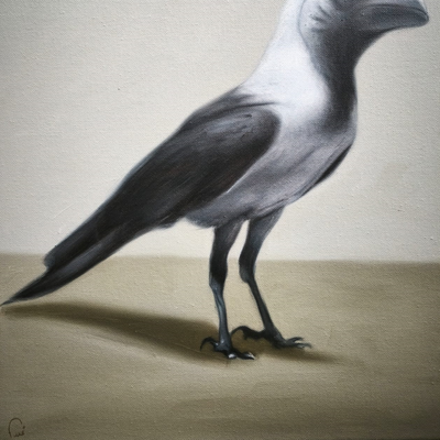 Metamorfos I - 7