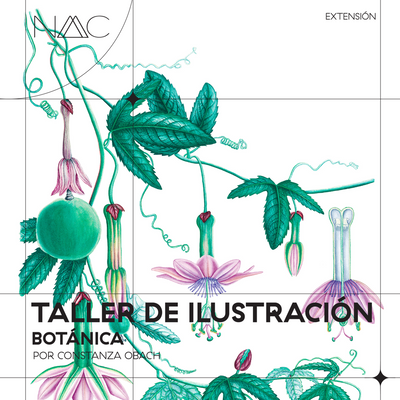Taller de ilustración botánica