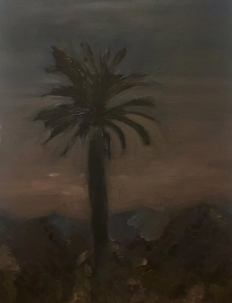 Noche americana