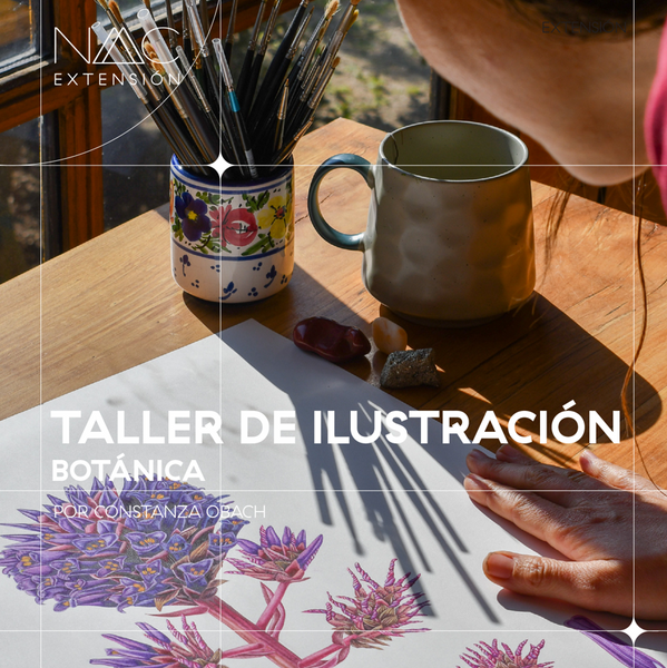 Taller de ilustración botánica