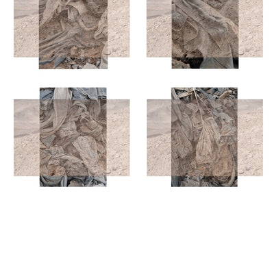 Estratigrafía IV