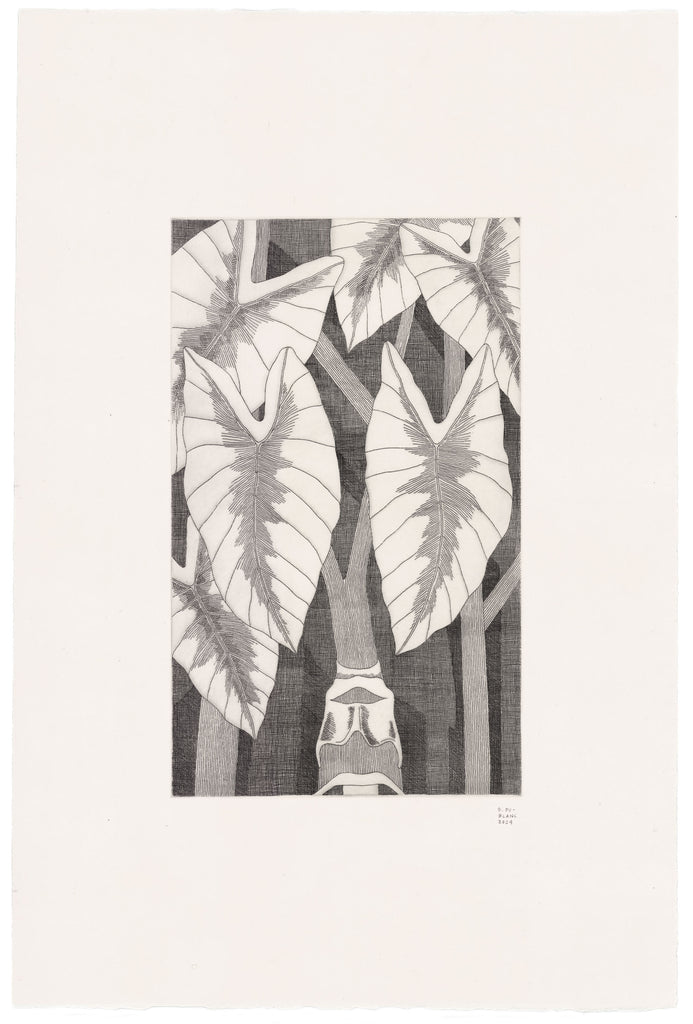 (trans)formation III