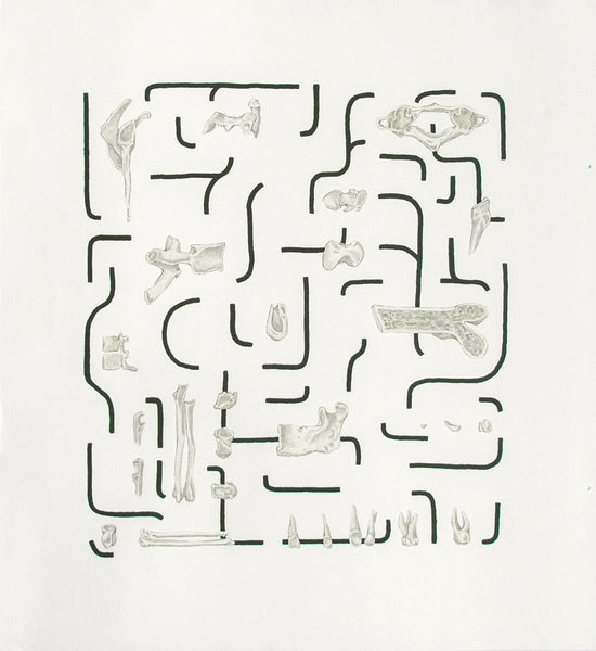 Mapa Nº1
